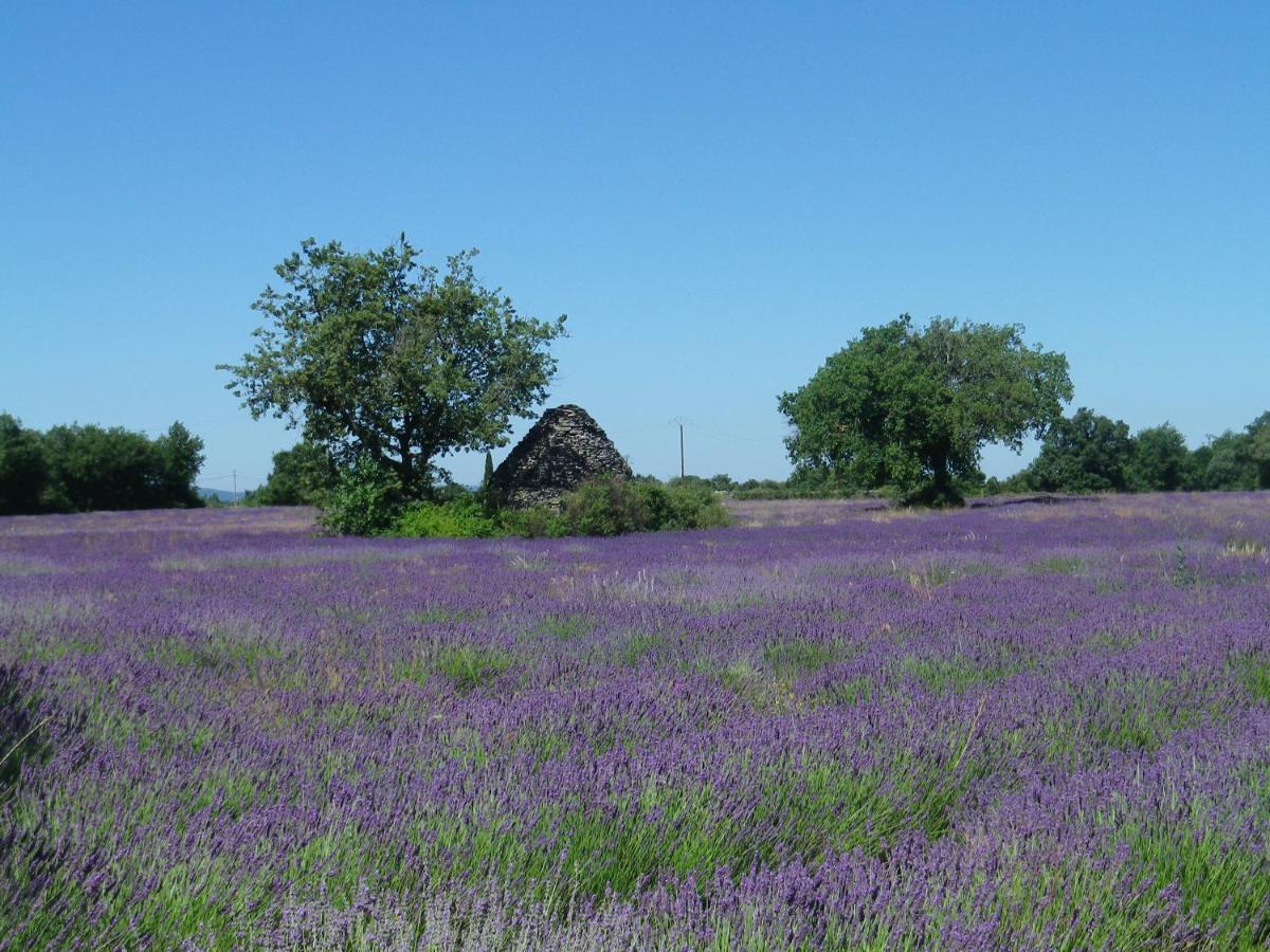 La Mordoree La Motte-d'Aigues Dış mekan fotoğraf