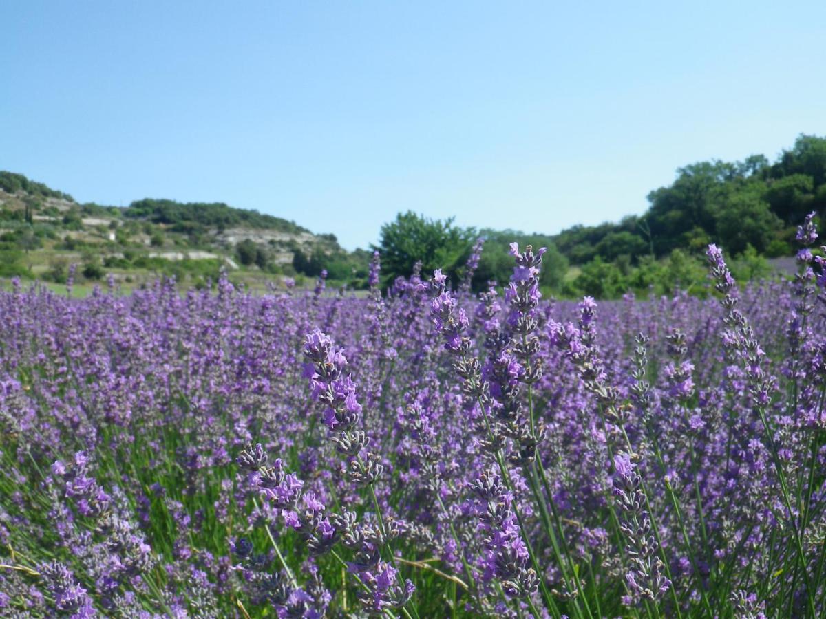 La Mordoree La Motte-d'Aigues Dış mekan fotoğraf