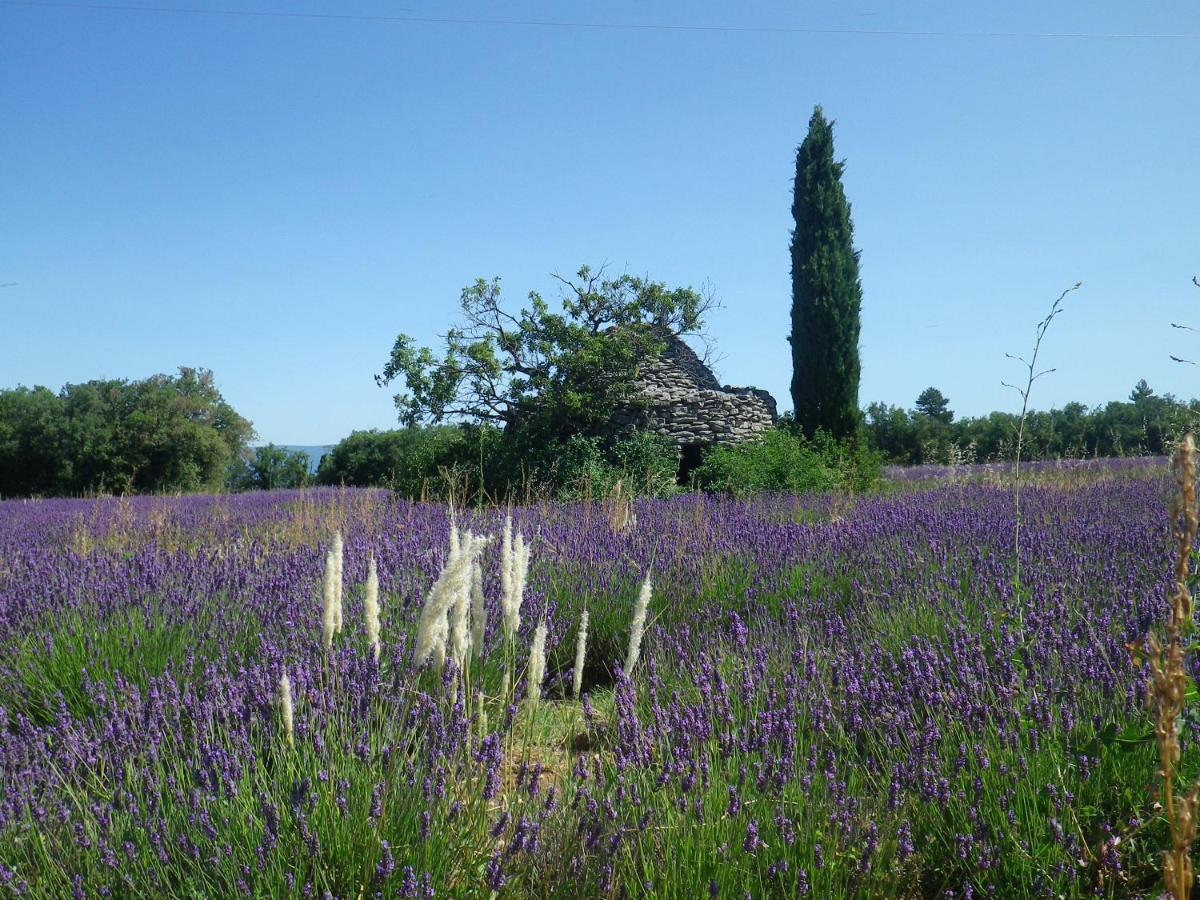 La Mordoree La Motte-d'Aigues Dış mekan fotoğraf