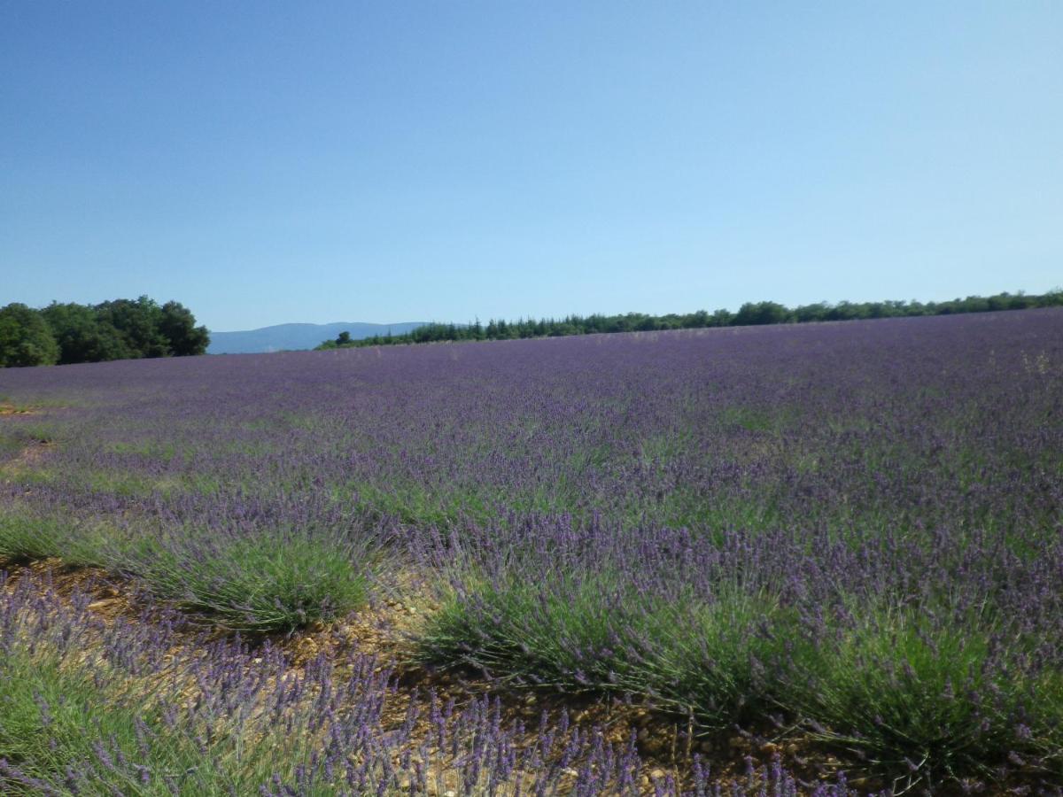 La Mordoree La Motte-d'Aigues Dış mekan fotoğraf
