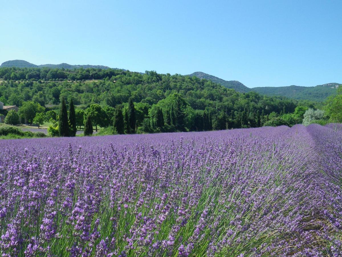 La Mordoree La Motte-d'Aigues Dış mekan fotoğraf