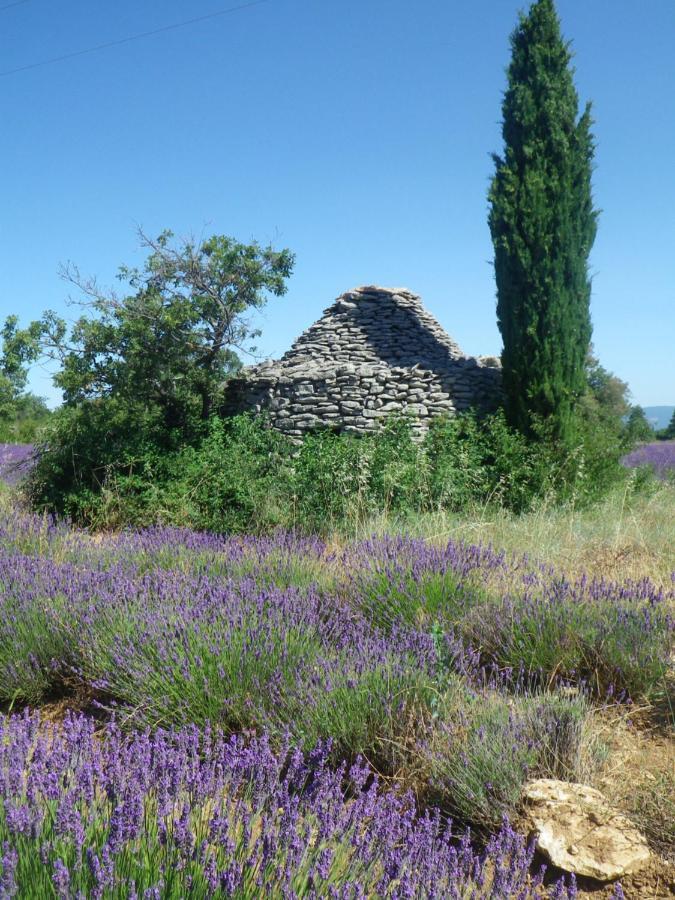 La Mordoree La Motte-d'Aigues Dış mekan fotoğraf