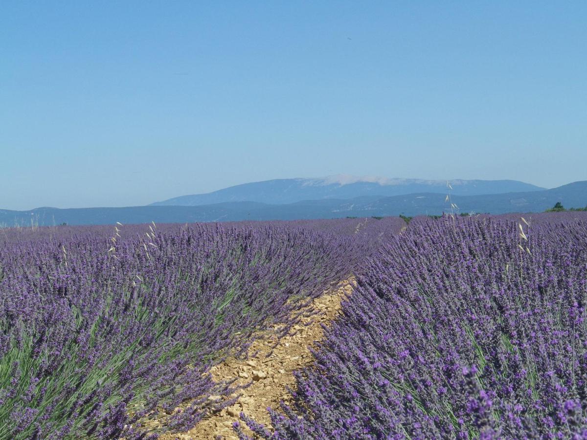 La Mordoree La Motte-d'Aigues Dış mekan fotoğraf